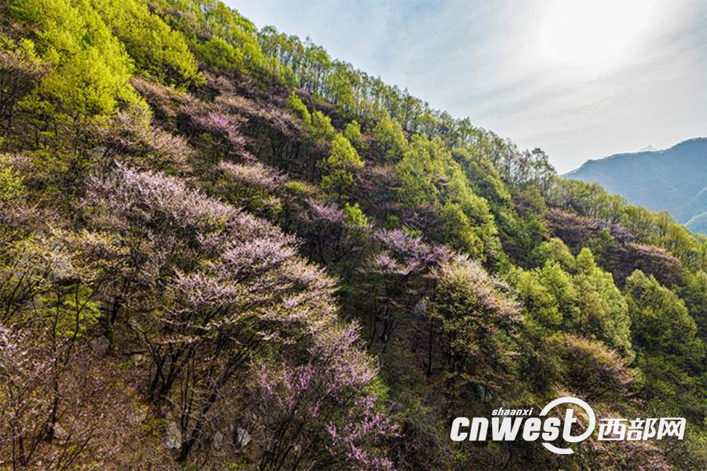 正在上传... 8bf706acdbeeb206697a86e1c58ed300.png