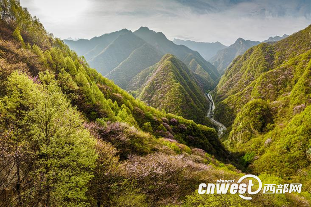 正在上传... 8f0db4698f8a7966d4d96ff6744ef214.png