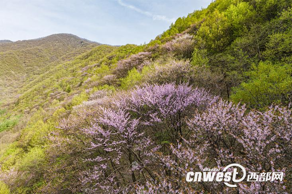 正在上传... 9a377f9eee5c9f4119ce38802a25f634.png