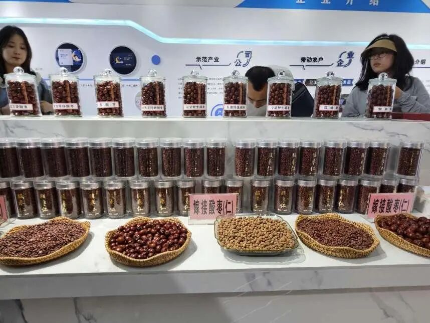 榆林清涧聚力构建中药材种植、加工、销售全产业链条