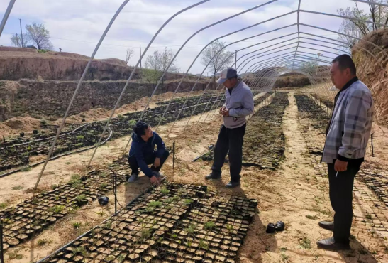 春耕备耕正当时 多措并举助增收