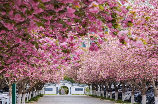 正在上传... 0b2054e493bd6e49ae3c9e398a1bb332.png