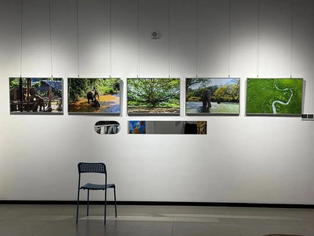 免费参观！这场跨国摄影展亮相西安雁塔！