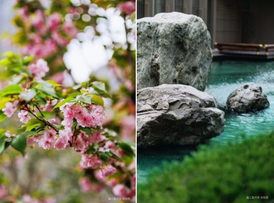 正在上传... 460f03cfb802246993cb4d8f55b3b411.png