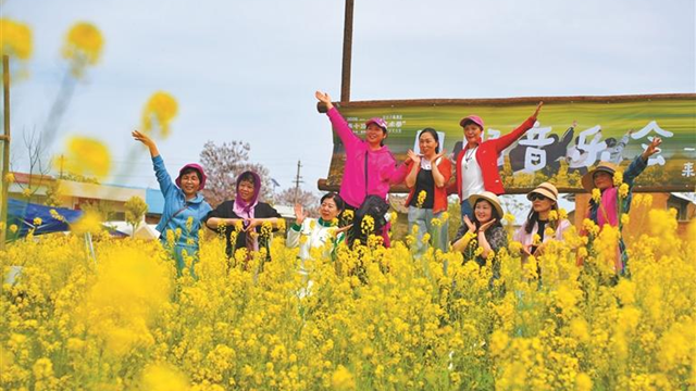 从“点上开花”到“全域共美”——渭南市临渭区以协同发展推进乡村振兴观察