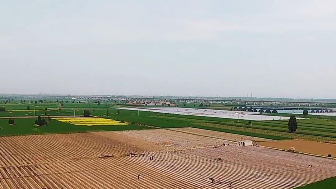 今日谷雨丨播种移苗、埯瓜点豆正当时