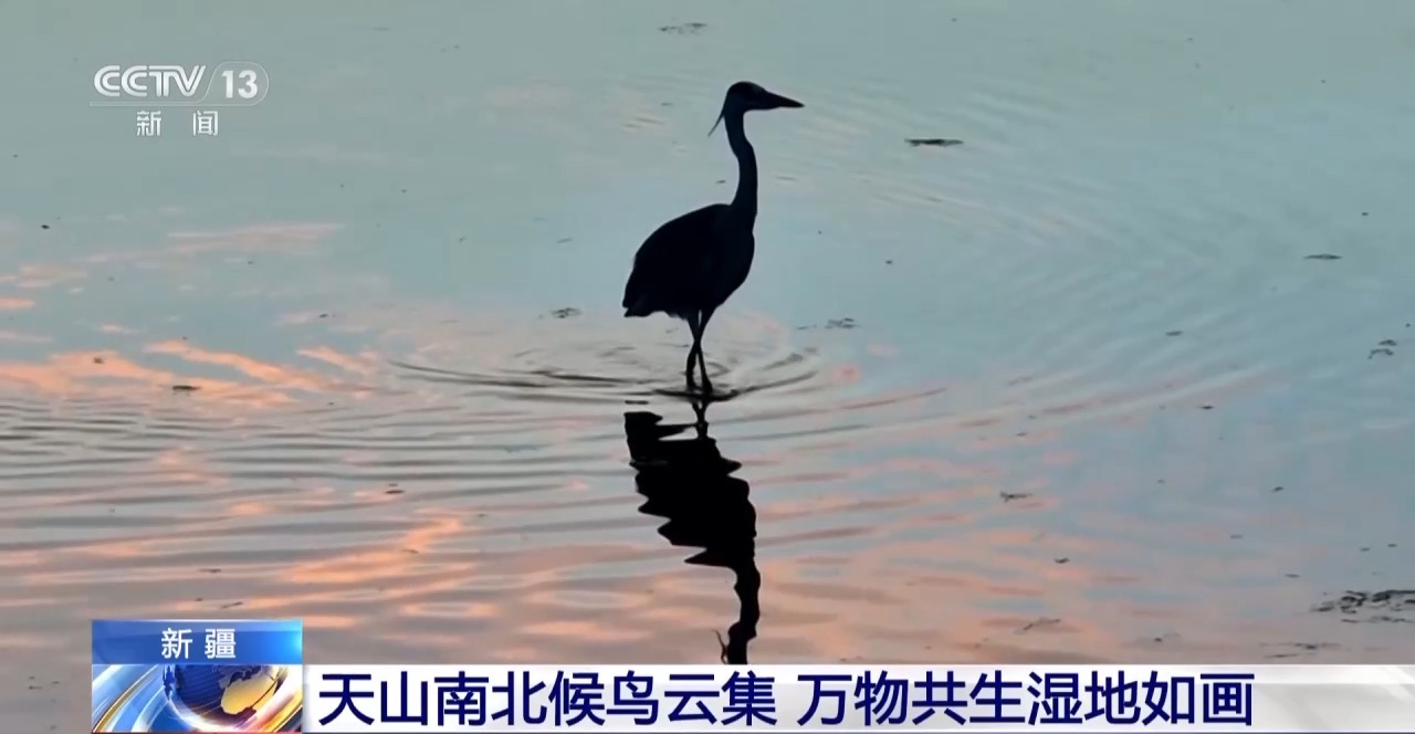 a830e2a1f49f4cf2539408eaa88bcda7.jpeg