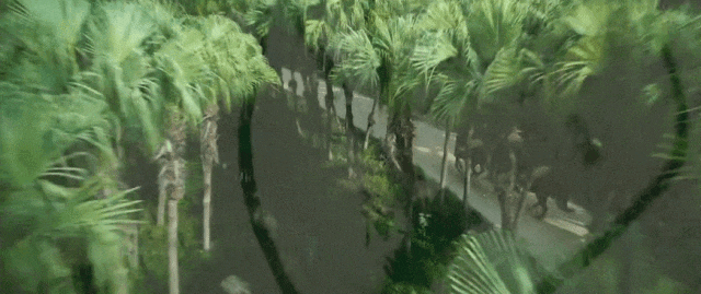 81d07a317398433c9a9a2696babb2751.gif