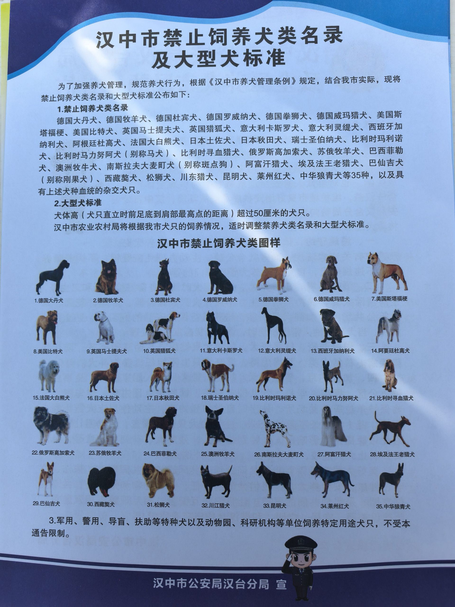 f30e1a8264735f746a447e36d108cc20.jpeg