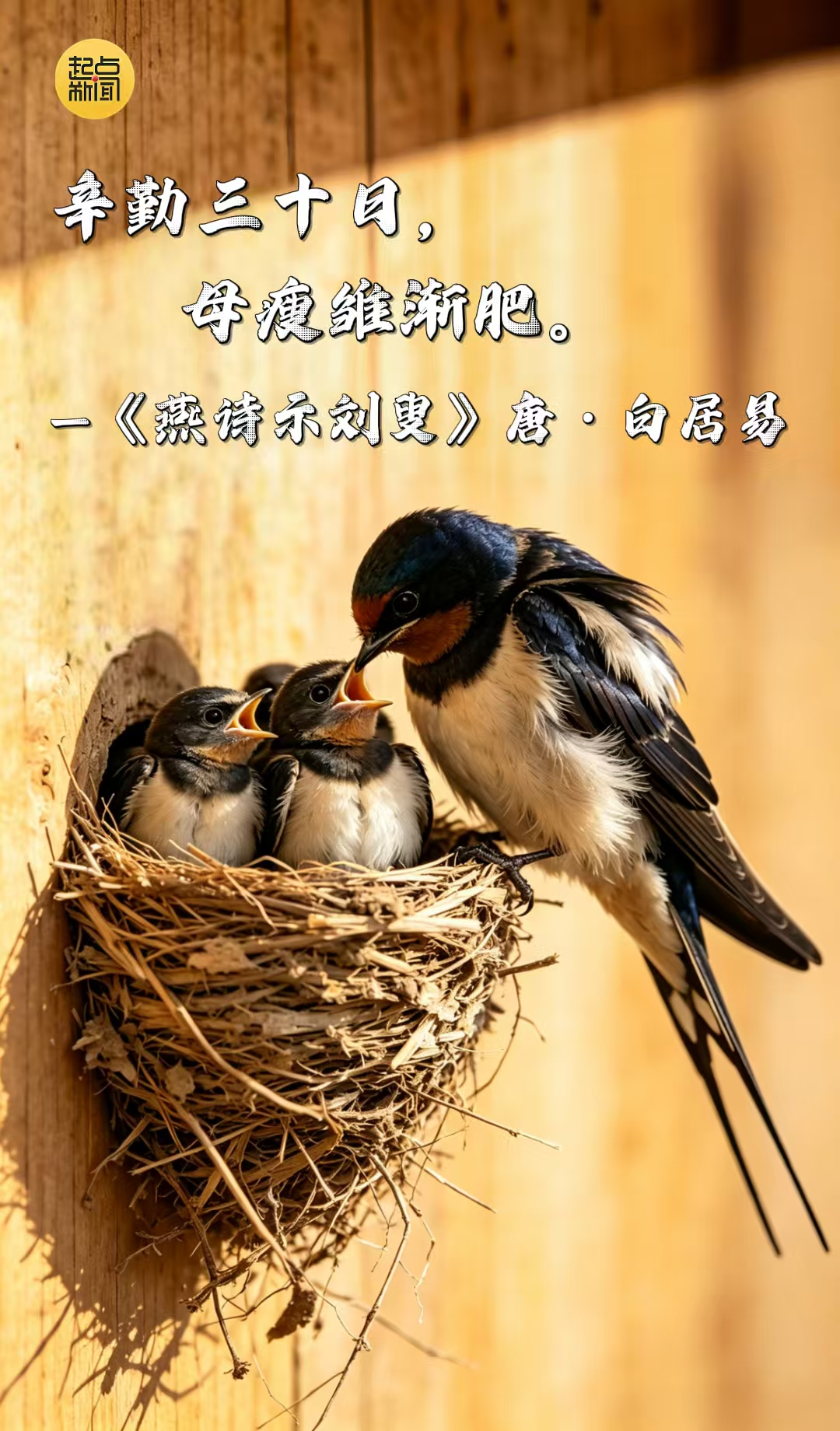 fe485a0a1a8d95b5eeadb6a6b7d9311a.png