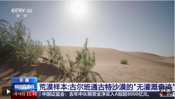 ad678749b16b3ff7480e9ebf9300dc64.png