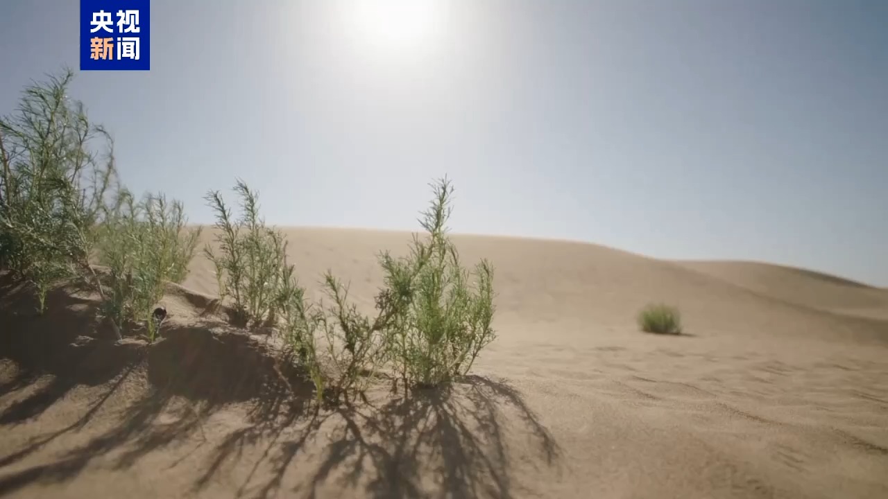 f8bf5791da347ae774e374ec07a28638.jpeg