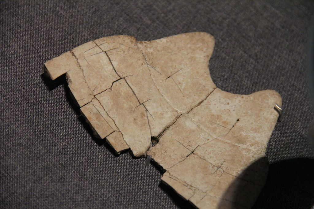 d7067aa758f1cededad13f530b760449.png