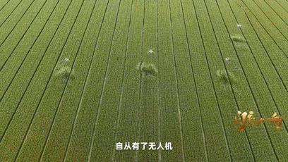4abd18af85bb15a8e15750bac5b4988e.gif