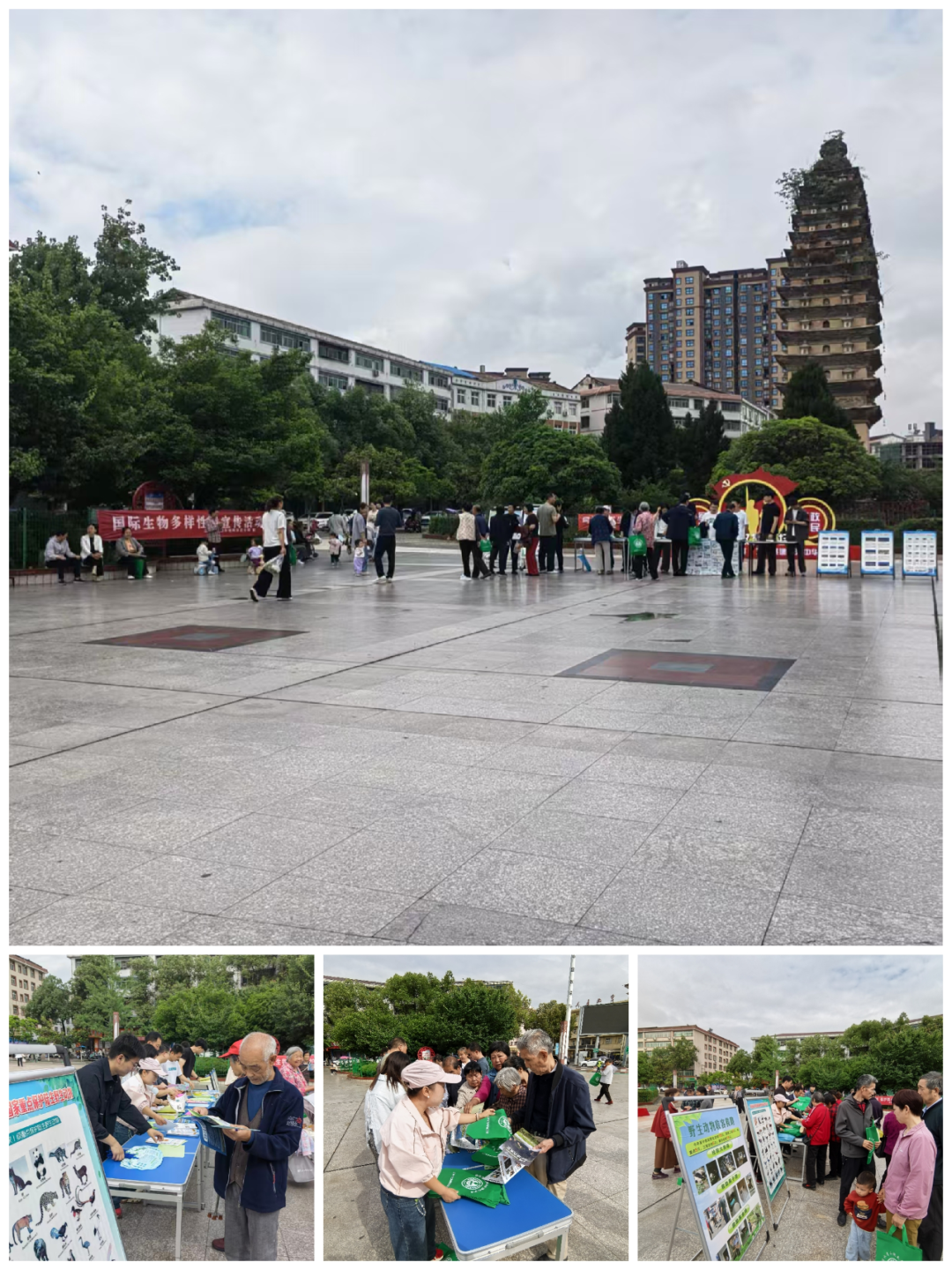 图片2.png