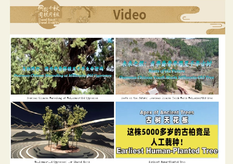 b7da8280857826ec730a37afeb4a7733.png