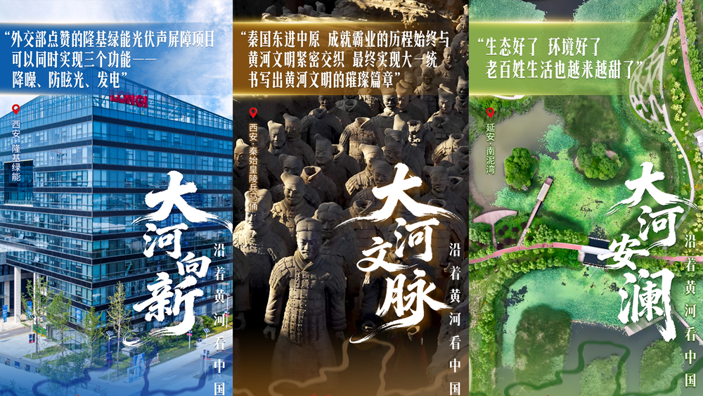 海报丨大河奔流映三秦