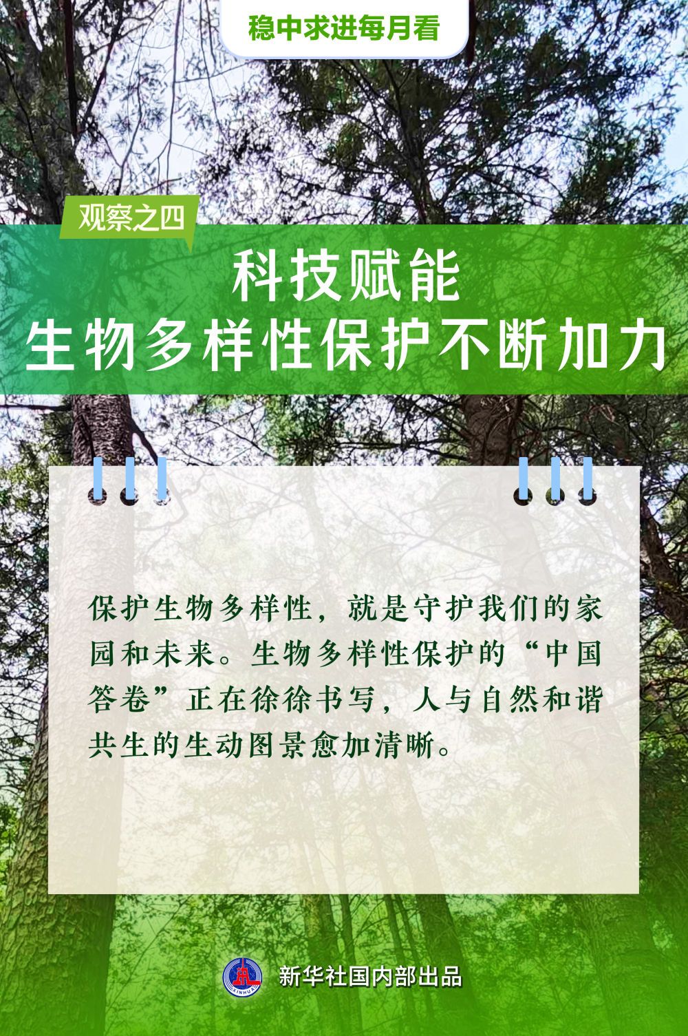 570132652f0015aab4a7c546e1ca57ae.jpeg