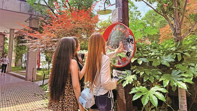从“工业锈带”变“生活秀场”—— 一座废弃水泥厂的“逆生长”