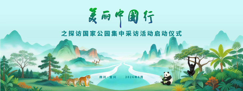 8bb2c1237cd029056a1fafd0bd5c66b9.png