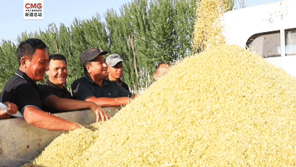 296d5515a21978bff39a89e33e4d9d27.gif