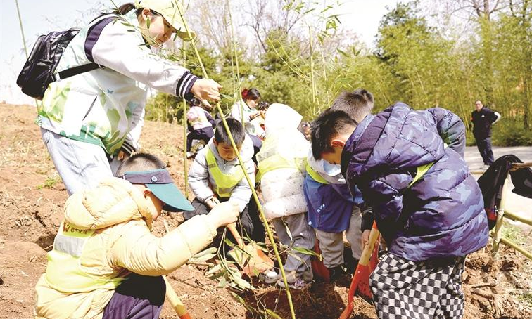 陕西：厚植“生态根” 共筑“绿色梦”