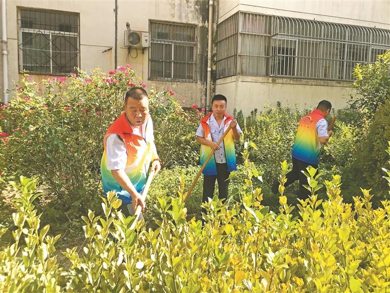 “五方共治”！渭南市澄城“5