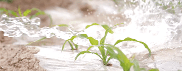 14380153115d9a204b01a066c00c221d.gif