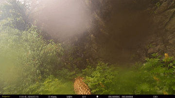 da61554e4b50ba09dadc80d8db273486.gif