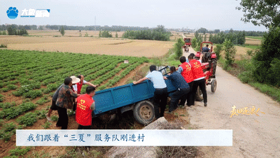 f6d188da05fe0ce15ab244eadd8484bb.gif