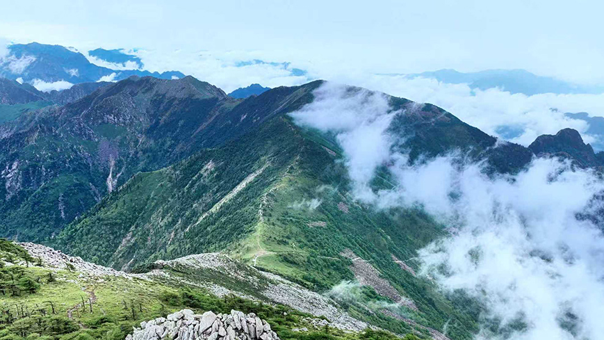【大美秦岭】雨后朱雀 云海如画