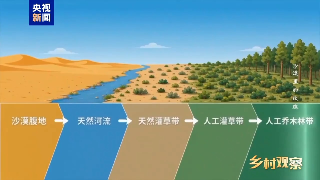 dd2616c2128fe5d9bc9ea591a6fbf788.jpeg