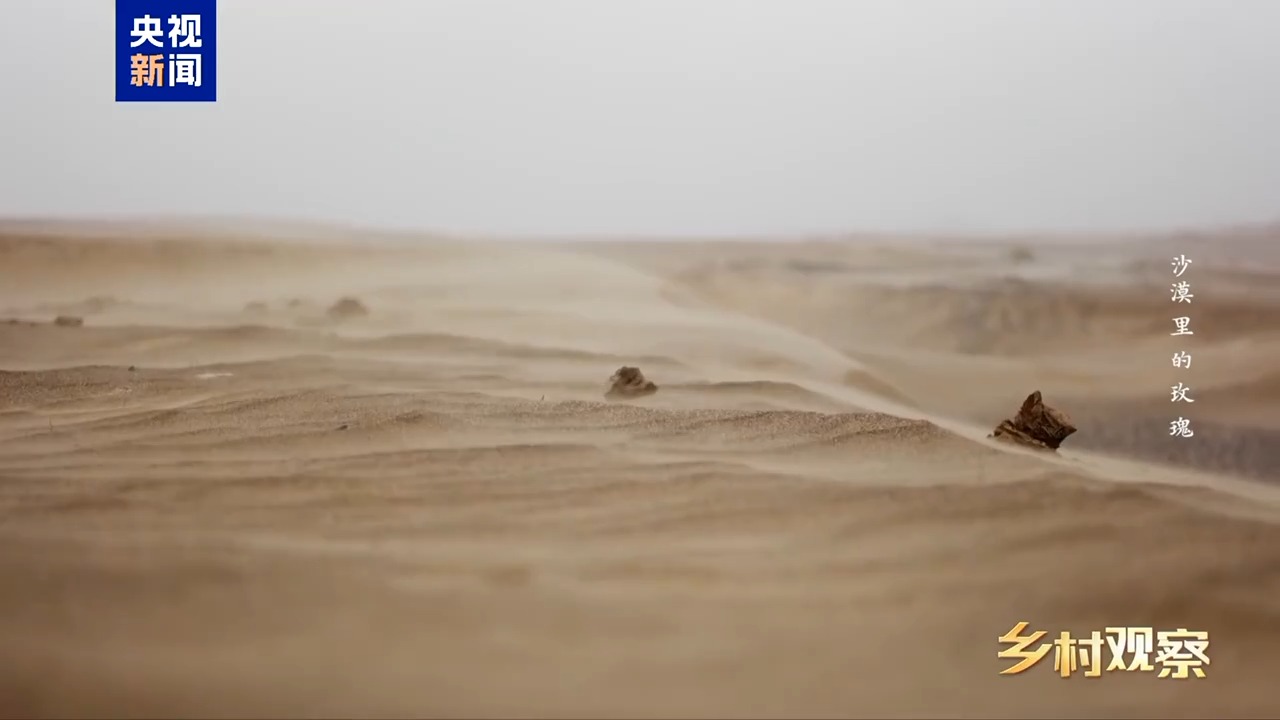 f554f52a0198c144eacd8dee3a1fae51.jpeg