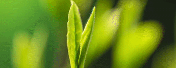 5bd655ca2f63eb786596c071b51476a6.gif
