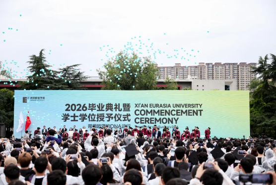 da245738b2ffc4b5bbc79c158d422cac.png