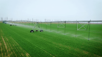 86075ad7d017b0b49f02056159bdd799.gif