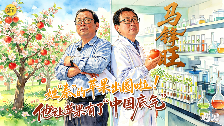 起点·遇见丨姓“秦”的苹果出圈啦！他让苹果有了“中国底气”