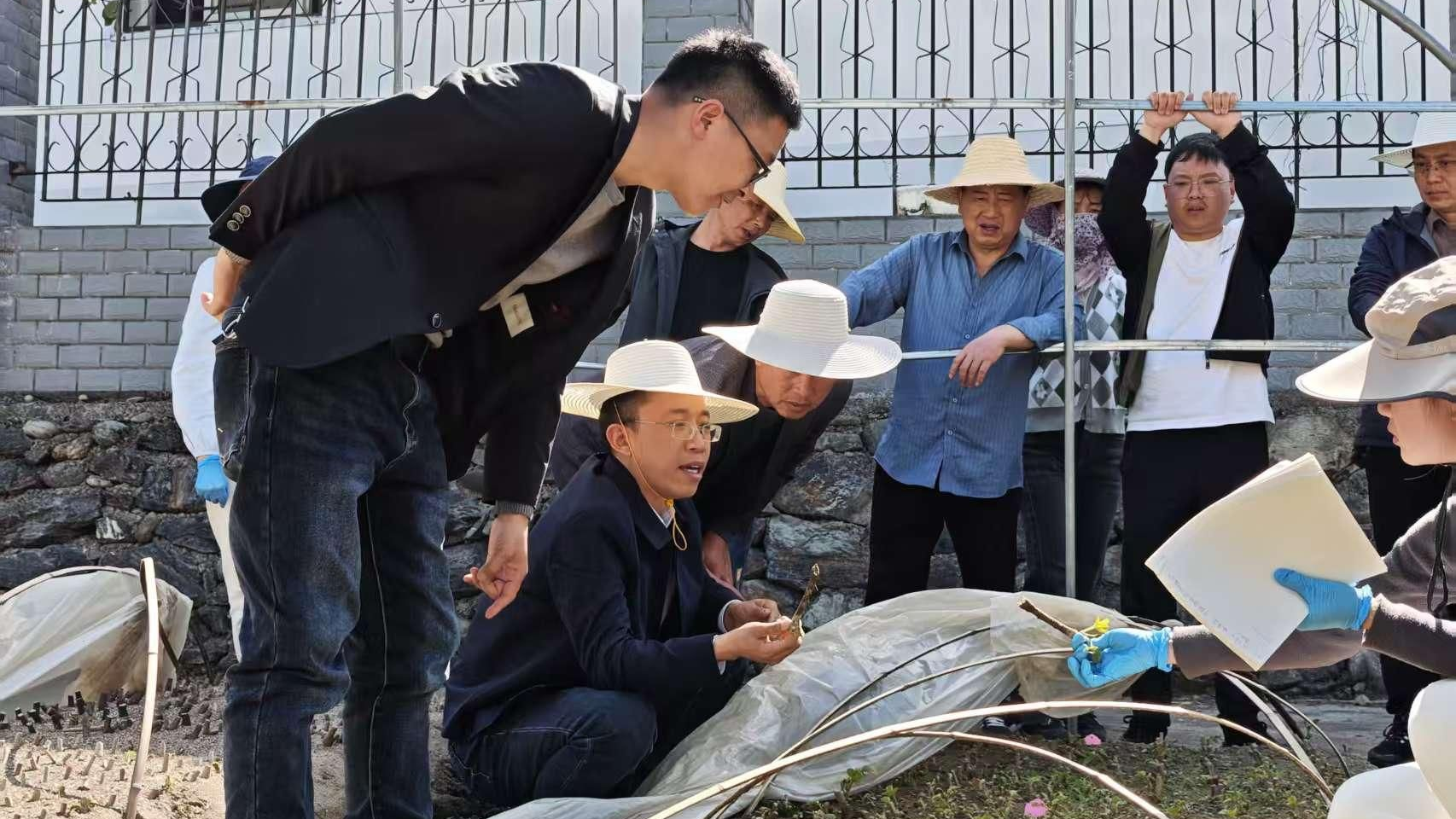 秦巴山区来了“科创经理人”