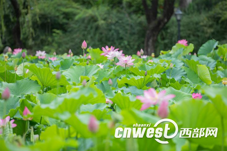 正在上传... 6889e74cfbef0cdde0860fea0425adb7.png