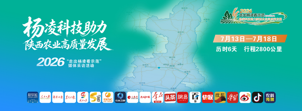 正在上传... b390c8d04e9ec39df10befd4821f8935.png