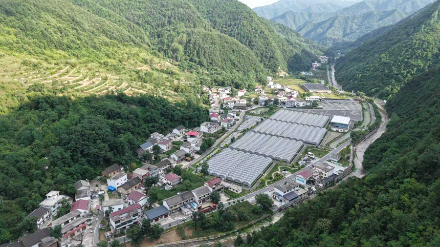 走出杨凌看示范｜杨凌科技润秦岭 循环种养铺就金米共富路