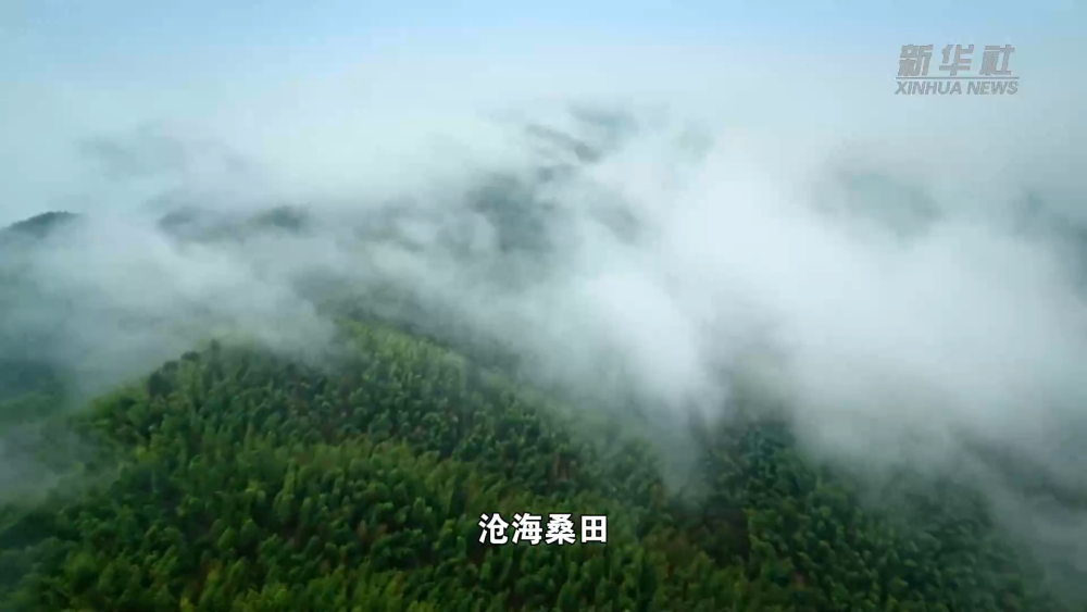 d3b5f677b5bc165258b24a0f2e4ea43b.png
