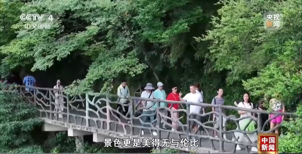e49458f7102d92b11005d63d3b11c138.jpeg