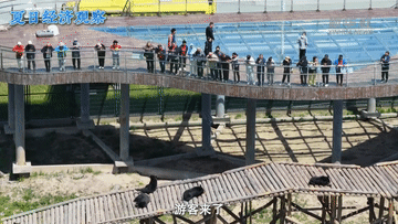 a4157b8e903038d8b1354f0de704abfc.gif