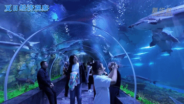 bb53a372e009a857520ea94b5421ad0c.gif