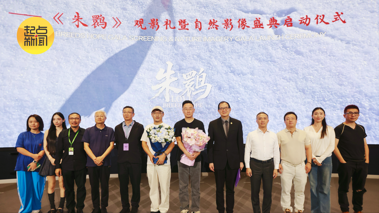 纪录电影《朱鹮》：以自然之镜照见人与万物共情
