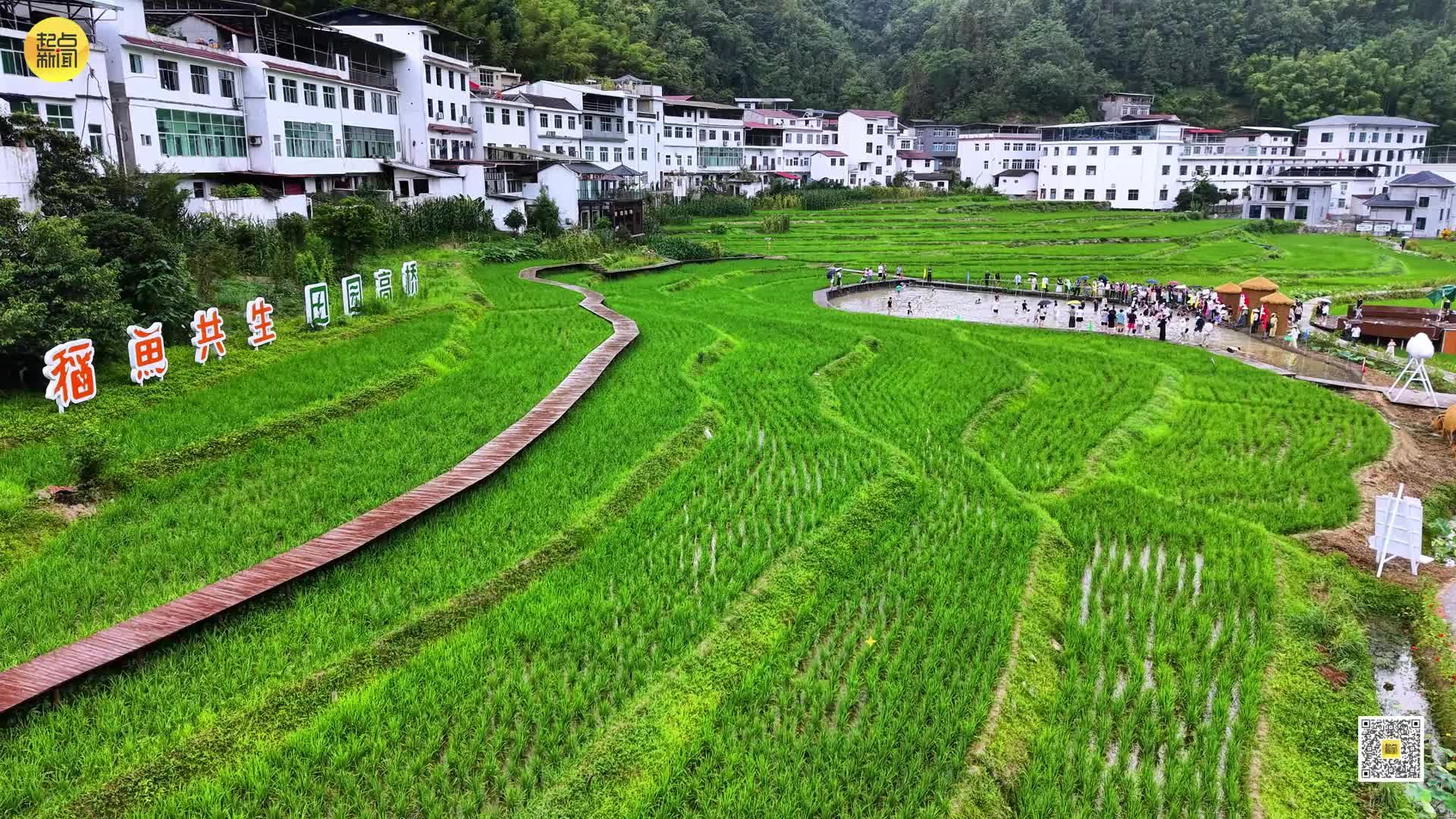 陕西紫阳：民歌带火一座城