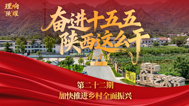 【奋进“十五五” 陕西这么干】第二十二期：加快推进乡村全面振兴