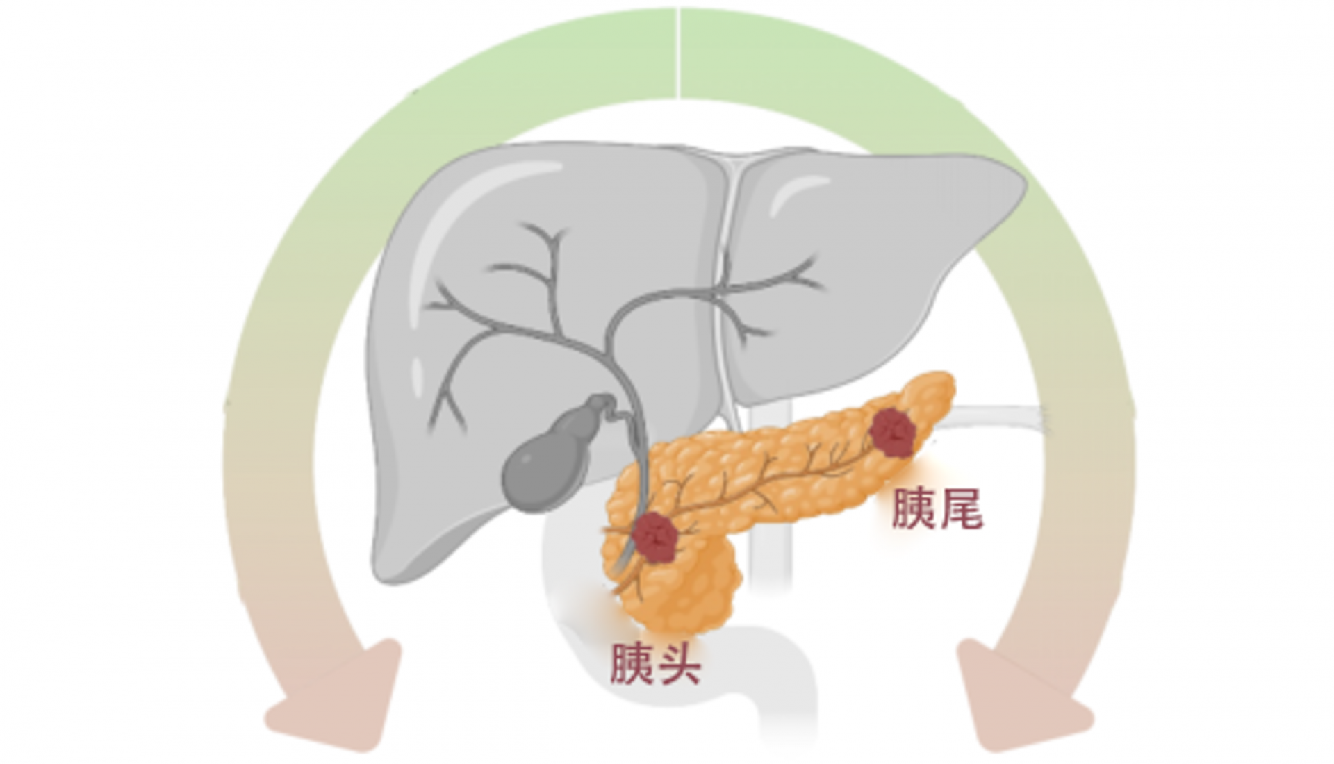 e0d7181c7f3da60d3e008f3ed6061763.png
