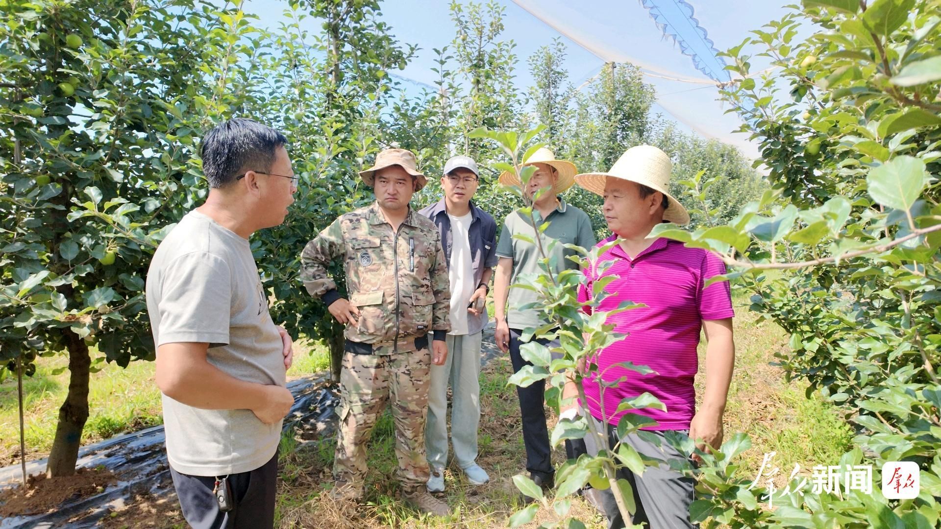 “种得好”才能“卖得好”